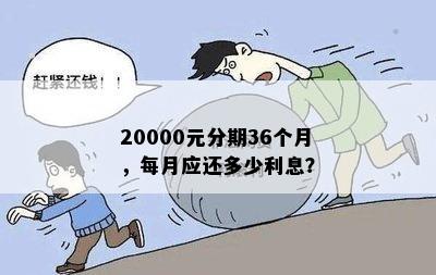 20000元分期36个月，每月应还多少利息？