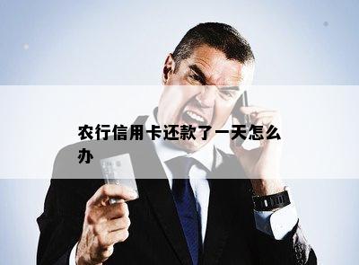 农行信用卡还款了一天怎么办