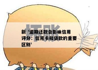 新 '逾期还款会影响信用评分：信用卡和贷款的重要区别'