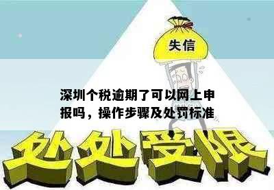 深圳个税逾期了可以网上申报吗，操作步骤及处罚标准