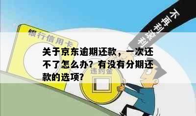 关于京东逾期还款，一次还不了怎么办？有没有分期还款的选项？