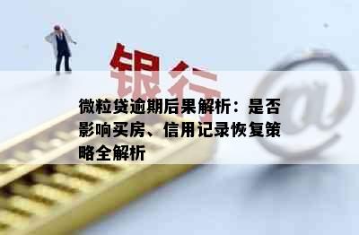 微粒贷逾期后果解析：是否影响买房、信用记录恢复策略全解析