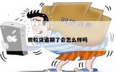 微粒贷逾期了会怎么样吗