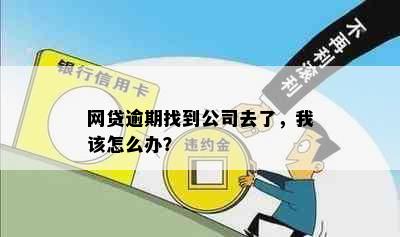 网贷逾期找到公司去了，我该怎么办？