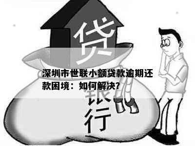 深圳市世联小额贷款逾期还款困境：如何解决？