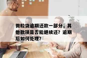 微粒贷逾期还款一部分，其他款项是否能继续还？逾期后如何处理？