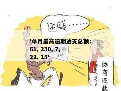 '单月更高逾期透支总额：61, 230, 7, 22, 15'