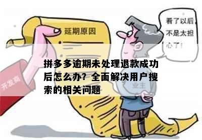 拼多多逾期未处理退款成功后怎么办？全面解决用户搜索的相关问题