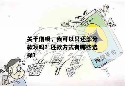 关于借呗，我可以只还部分款项吗？还款方式有哪些选择？