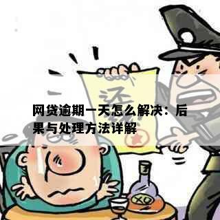 网贷逾期一天怎么解决：后果与处理方法详解