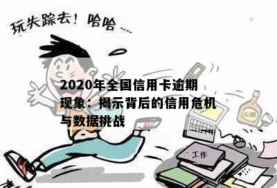 2020年全国信用卡逾期现象：揭示背后的信用危机与数据挑战