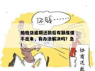 拍拍贷逾期还款后有额度借不出来，有办法解决吗？急！