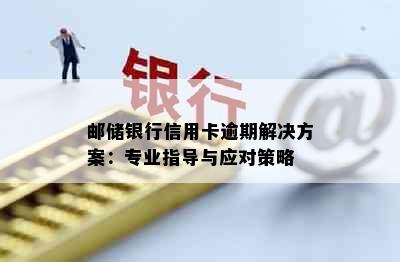 邮储银行信用卡逾期解决方案：专业指导与应对策略