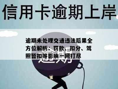 逾期未处理交通违法后果全方位解析：罚款、扣分、驾照暂扣等影响一网打尽