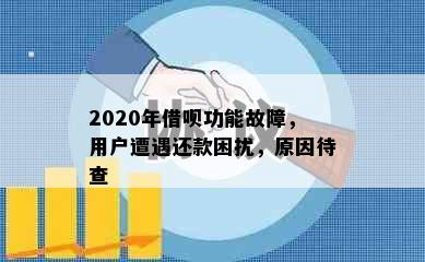 2020年借呗功能故障，用户遭遇还款困扰，原因待查