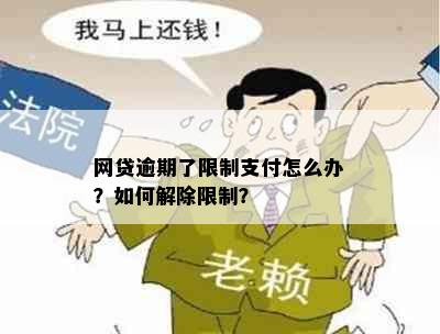 网贷逾期了限制支付怎么办？如何解除限制？