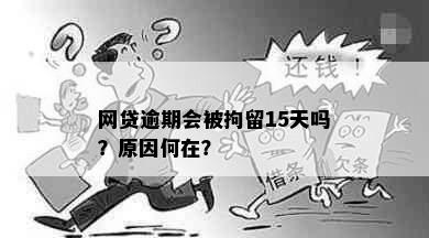 网贷逾期会被拘留15天吗？原因何在？