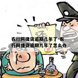 农行网捷贷逾期几年了-农行网捷贷逾期几年了怎么办