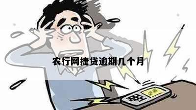 农行网捷贷逾期几个月