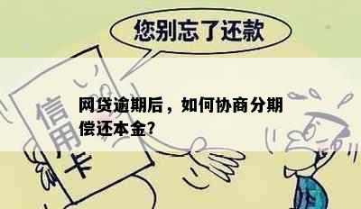 网贷逾期后，如何协商分期偿还本金？