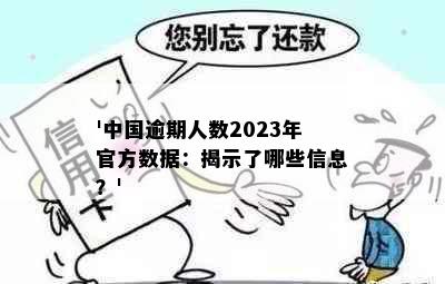 '中国逾期人数2023年官方数据：揭示了哪些信息？'