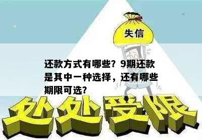 还款方式有哪些？9期还款是其中一种选择，还有哪些期限可选？