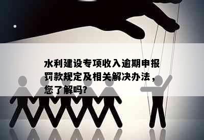 水利建设专项收入逾期申报罚款规定及相关解决办法，您了解吗？