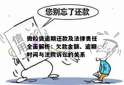 微粒贷逾期还款及法律责任全面解析：欠款金额、逾期时间与法院诉讼的关系