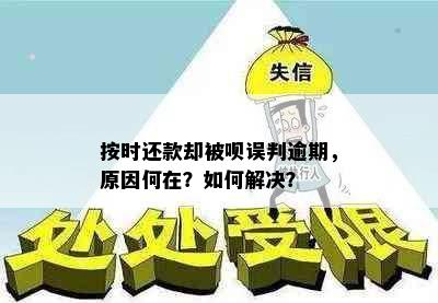 按时还款却被呗误判逾期，原因何在？如何解决？