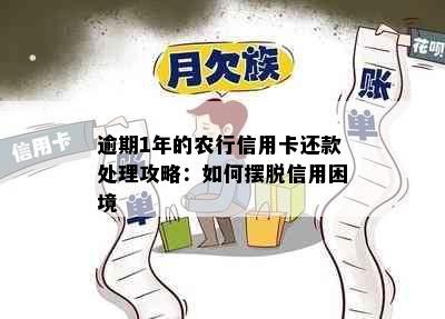 逾期1年的农行信用卡还款处理攻略：如何摆脱信用困境