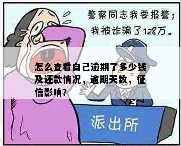 怎么查看自己逾期了多少钱及还款情况，逾期天数，征信影响？