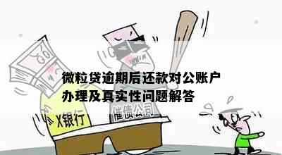 微粒贷逾期后还款对公账户办理及真实性问题解答