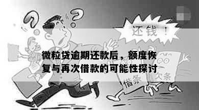 微粒贷逾期还款后，额度恢复与再次借款的可能性探讨