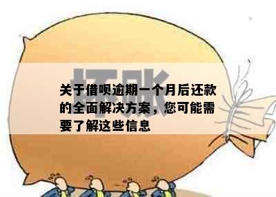 关于借呗逾期一个月后还款的全面解决方案，您可能需要了解这些信息