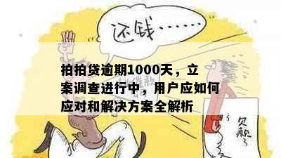 拍拍贷逾期1000天，立案调查进行中，用户应如何应对和解决方案全解析