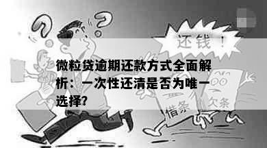 微粒贷逾期还款方式全面解析：一次性还清是否为唯一选择？