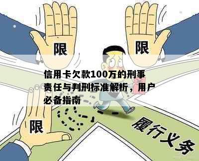 信用卡欠款100万的刑事责任与判刑标准解析，用户必备指南