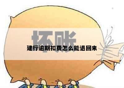 建行逾期扣费怎么能退回来