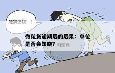 微粒贷逾期后的后果：单位是否会知晓？