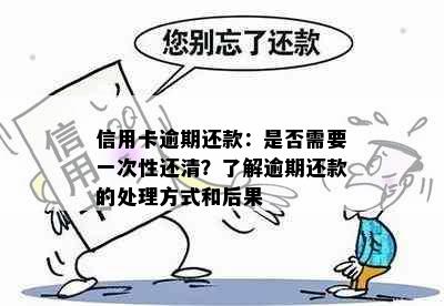 信用卡逾期还款：是否需要一次性还清？了解逾期还款的处理方式和后果