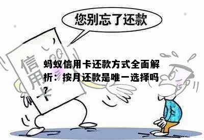 蚂蚁信用卡还款方式全面解析：按月还款是唯一选择吗？