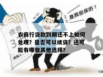 农商行贷款到期还不上如何处理？是否可以续贷？还可能有哪些其他选择？