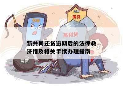 新共同还贷逾期后的法律救济措及相关手续办理指南