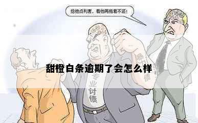 甜橙白条逾期了会怎么样