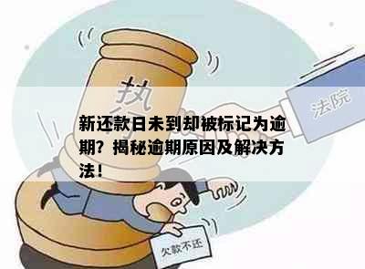 新还款日未到却被标记为逾期？揭秘逾期原因及解决方法！