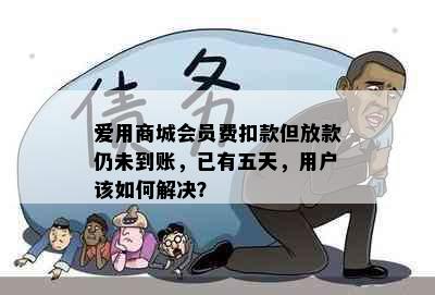 爱用商城会员费扣款但放款仍未到账，已有五天，用户该如何解决？