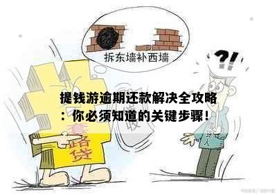 提钱游逾期还款解决全攻略：你必须知道的关键步骤！