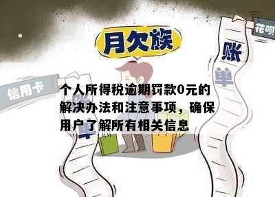 个人所得税逾期罚款0元的解决办法和注意事项，确保用户了解所有相关信息