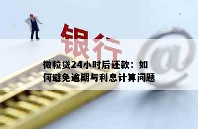 微粒贷24小时后还款：如何避免逾期与利息计算问题