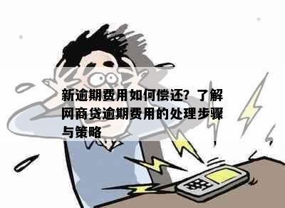 新逾期费用如何偿还？了解网商贷逾期费用的处理步骤与策略